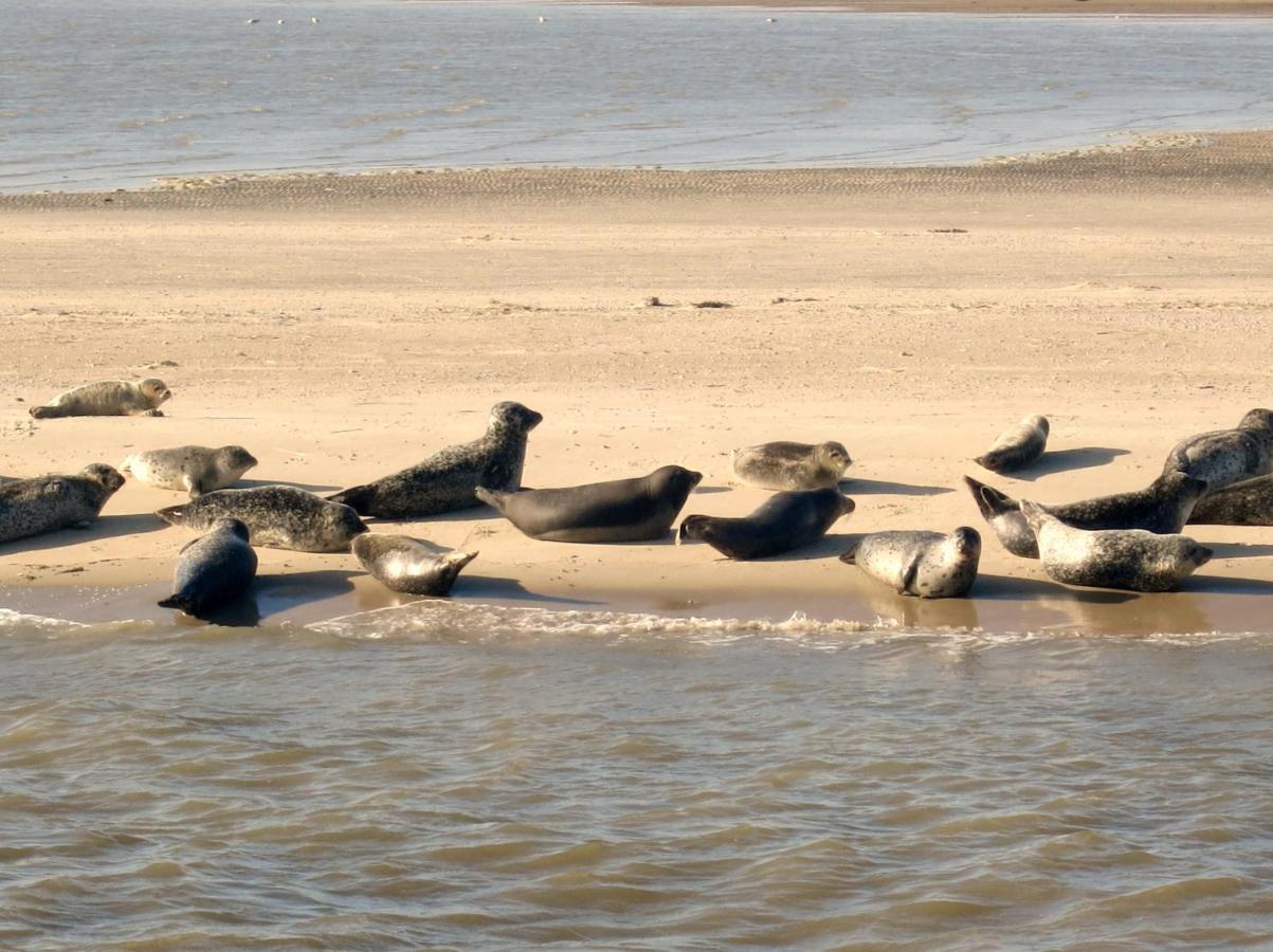 Huus Wattenmeer In Nessmersiel An Der Nordsee Dornum Exterior photo